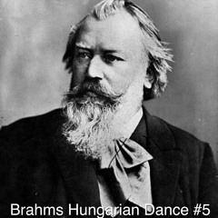 Brahms Hungarian Dance #5 (Remix)