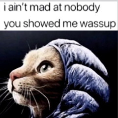i aint mad v2