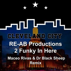 RE-AB Productions - 2 Funky In Here (Maceo Rivas, Dr Black Sheep Remix) Now On Beatport TOP 14