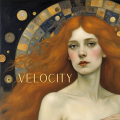 Velocity