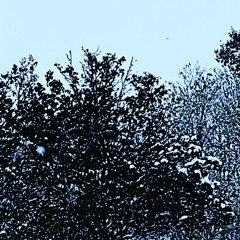 The Pain Of Relief - Goreshit (Rework)