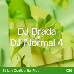 strictly confidential files #36_DJ Normal 4 & DJ Brada aka Wizards Of The West