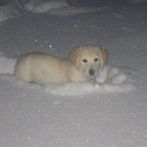 There's so much i wanna say, but i don't know where to start x Become the warm jets.