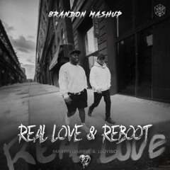 Martin Garrix - Real Love & Reboot (8randon Mashup)