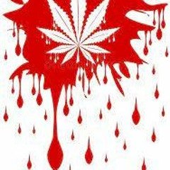 MrVowz ~ Blood On My Weed
