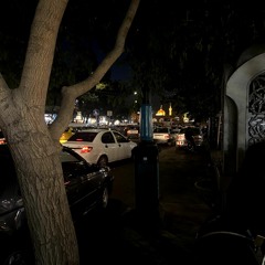 إمام رضا - من توقف اباب الصحن