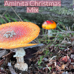 Aminita Christmas Mini Mix 2023