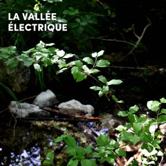 La Vallée Électrique 2022 • Simone Bauer (Live)