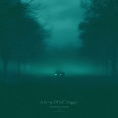 nØtexist & cosluar - a sense of self disgust (sped up)