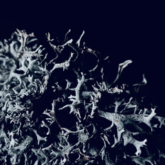 BEYOND The Event Horizon No. 3