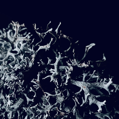 BEYOND The Event Horizon No. 3