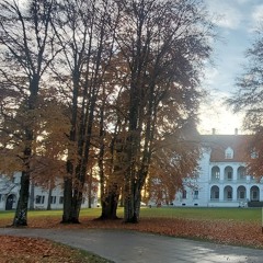 Juk tai ruduo (Duetas)