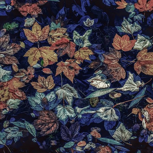 gypsy - fall vibes | sad lofi chill