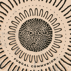 PREMIERE: Kohra - Atītachatrāka [Psylocybina]