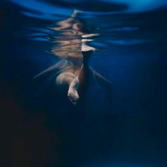 Electric Blue (live)