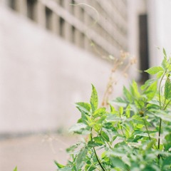 The Rye Wax Show w/ Kimmah - March 2022