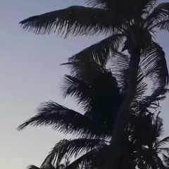 3am @olso @comebackcao