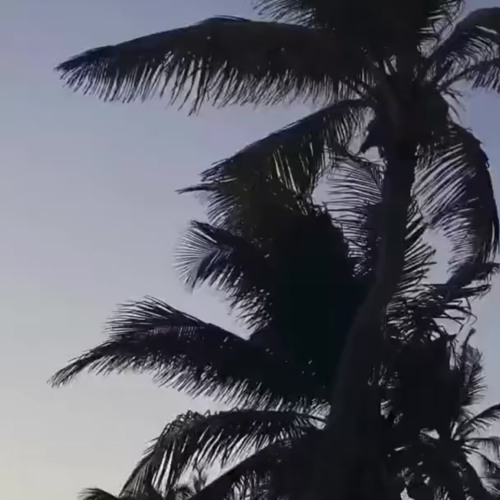 3am @olso @comebackcao