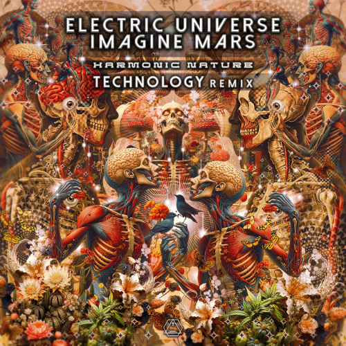Electric Universe & Imagine Mars - Harmonic Nature (Technology RMX)