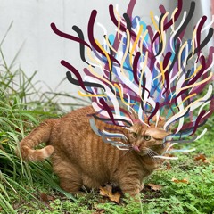 Roots