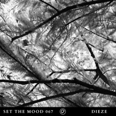 Dieze - Set the Mood 067 (Oefenmeesters)