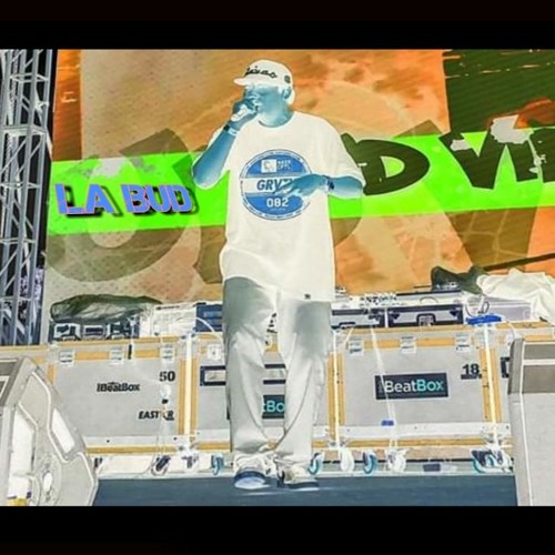 La Bud - Bot