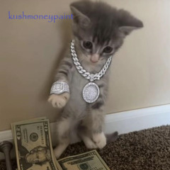yung cat