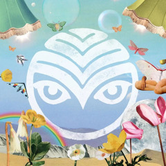 Wednesday Renegade - Live at Shambhala 2025