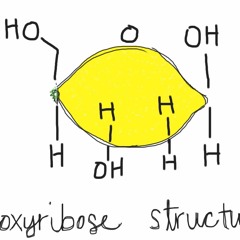 Say What? Science: DNA