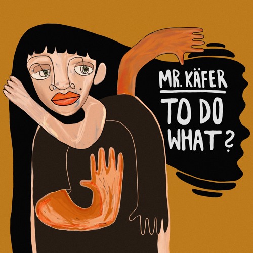 Mr. Käfer - To Do What