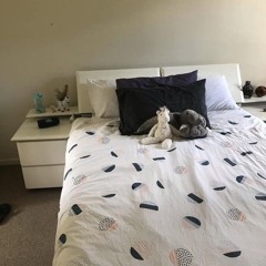 ma haus