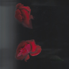 Kylie Minogue is haunting me