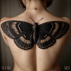 SHAPARAK(feat Nuvmb)