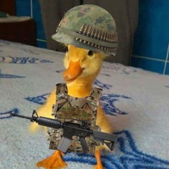 Baby General🪖🐥-(Prod.Artxry)@shawtythatsbabyduck🦆* EXCLUSIVE BTW*.m4a
