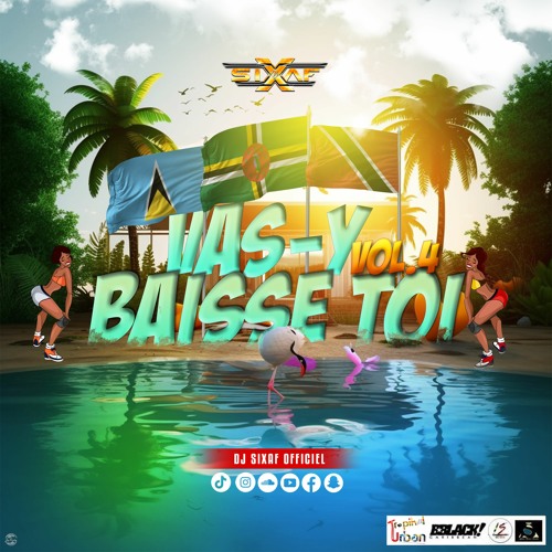 VAS Y BAISSE TOI VOL.4 - DJ SIXAF (MIX 2024)