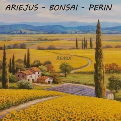 ARIEJUS - BONSAI - PERIN - REMIX