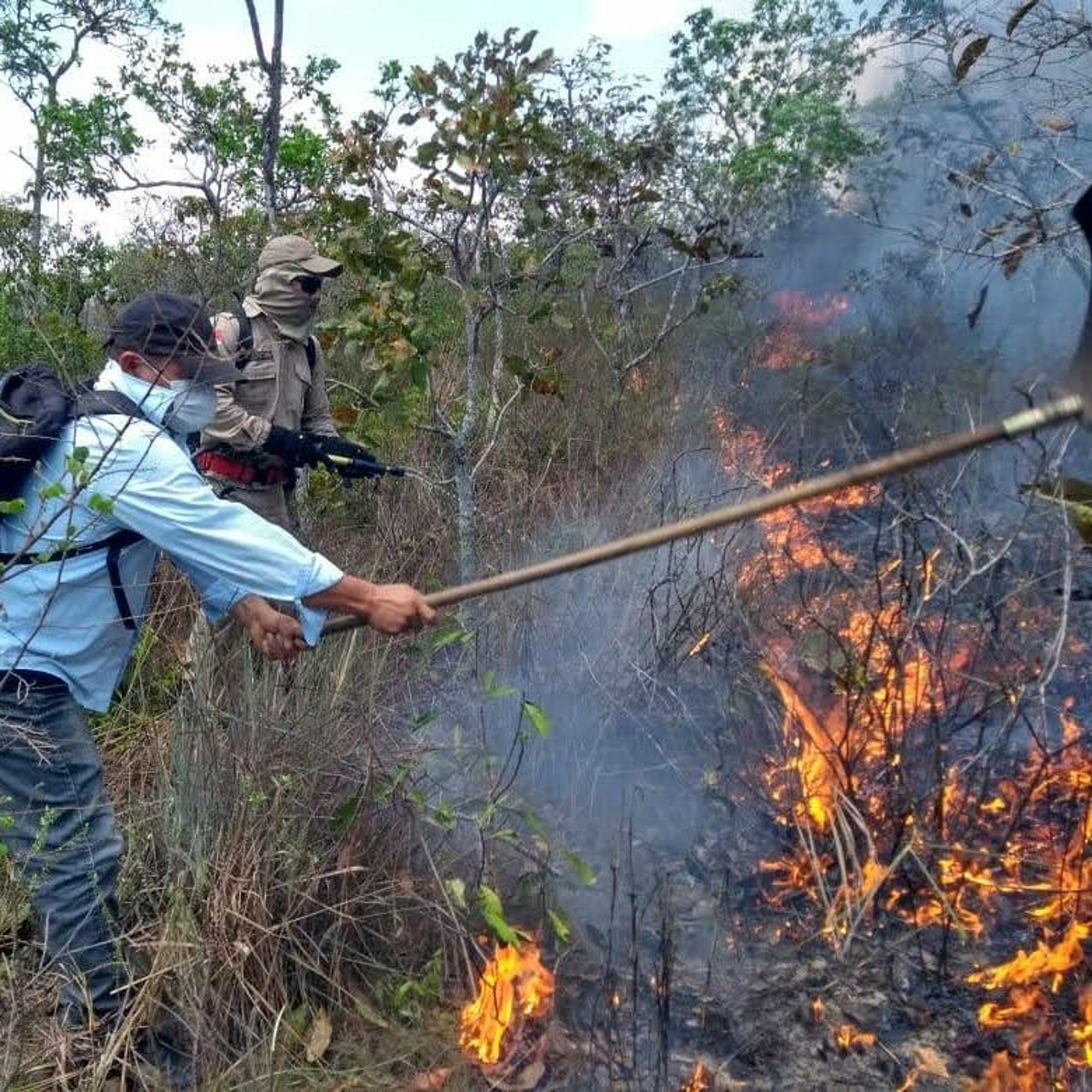Alô Comunidade: recomendações sobre uso do fogo nos roçados