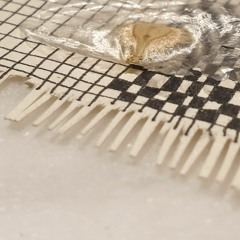 Things Need To Be Said