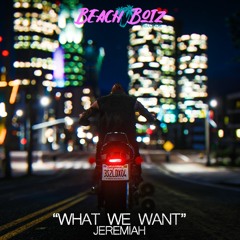 What We Want - Jeremiah Gold