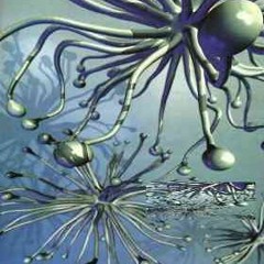 Underwater - (gs vrt & ringsnot)