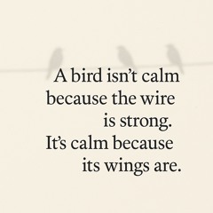 Mongoloid (Devo) Boost Bass-2025-11-14-120110-288.mp3