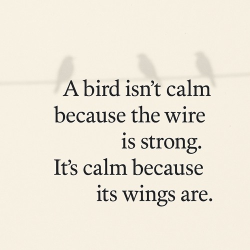 Mongoloid (Devo) Boost Bass-2025-11-14-120110-288.mp3