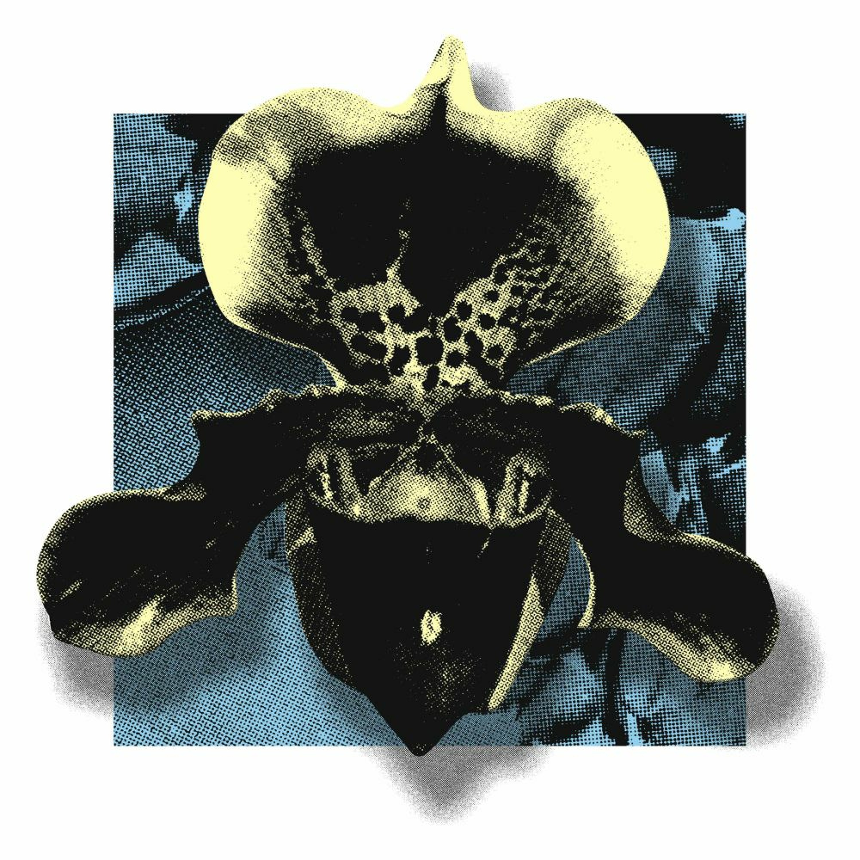 Inverted Audio Podcast