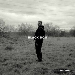 arlo parks - black dog
