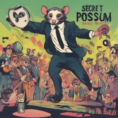Mission InPossumbull