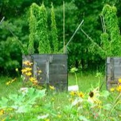 simply complex (wip)