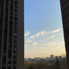 Fuck Em All (mixed by 8gramm)