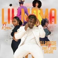 Lil Mama Rmx Dj Reggie ft Dwet Siwo x Gaegae