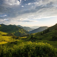 Native Sound Landscape