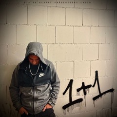 1+1